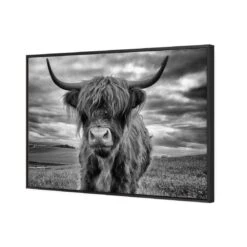 Signature Series - Stormy The Highland Cow -WALL ART DESGIN SALE 3160AR H Stormy the Highland Cow 3D THUMB FF BLK 75dbcb90 505e 4cf1 ab77 ac37a76f428a