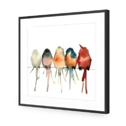 Watercolour Birds On Branch Acrylic Print Art -WALL ART DESGIN SALE 3162AS Watercolour Birds on Branch Max Size 90x90 ACR MAT THUMB FF BLK 999faed9 28b1 4751 a464 524b51bd4fef