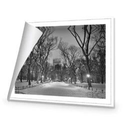 Winter In Central Park B&W Canvas Art -WALL ART DESGIN SALE 3168BR H Winter in Central Park B W ROLLED Thumb 37683069 1f2c 4265 ac0f 4ac035a204ba