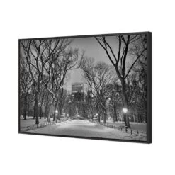 Winter In Central Park B&W Canvas Art -WALL ART DESGIN SALE 3168BR H Winter in Central Park B W 3D THUMB FF BLK 7021b3e7 8f5c 4022 b917 9ee5d2112c3f