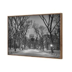 Winter In Central Park B&W Canvas Art -WALL ART DESGIN SALE 3168BR H Winter in Central Park B W 3D THUMB FF NAT 93cd9617 b4a7 4fd8 9744 2b2c371a350a