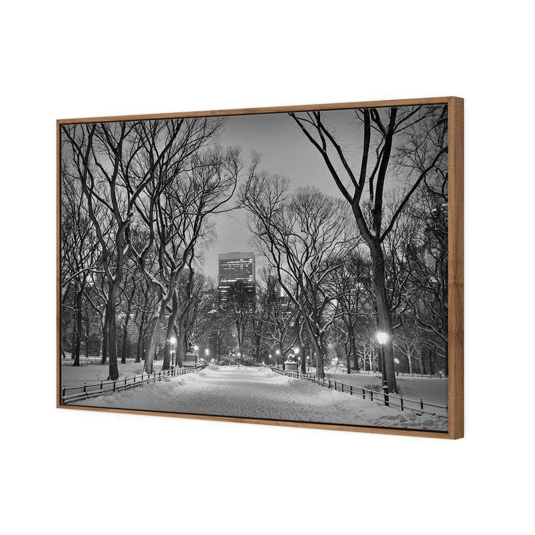 Winter in Central Park B&W Canvas Art Winter In Central Park B&W Canvas Art -WALL ART DESGIN SALE 3168BR H Winter in Central Park B W 3D THUMB FF NAT 93cd9617 b4a7 4fd8 9744 2b2c371a350a