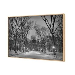 Winter In Central Park B&W Canvas Art -WALL ART DESGIN SALE 3168BR H Winter in Central Park B W 3D THUMB FF OAK 633fbf55 5709 4fb9 8ce3 e3c8d8cd7ca3