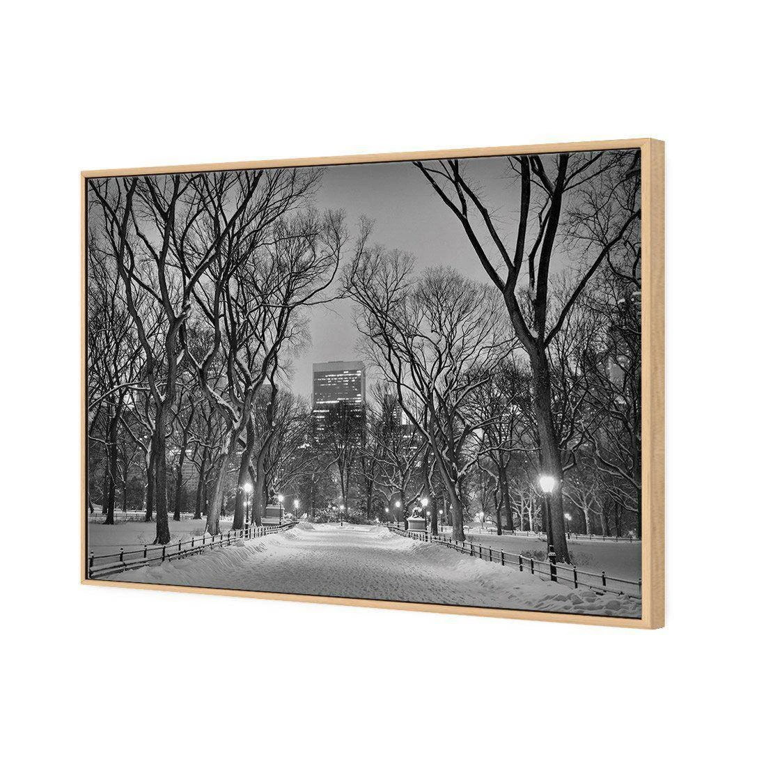 Winter in Central Park B&W Canvas Art Winter In Central Park B&W Canvas Art -WALL ART DESGIN SALE 3168BR H Winter in Central Park B W 3D THUMB FF OAK 633fbf55 5709 4fb9 8ce3 e3c8d8cd7ca3