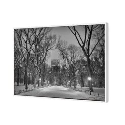 Winter In Central Park B&W Canvas Art -WALL ART DESGIN SALE 3168BR H Winter in Central Park B W 3D THUMB FF WHT 79233320 4d09 4f4c 900c 758311db3c58