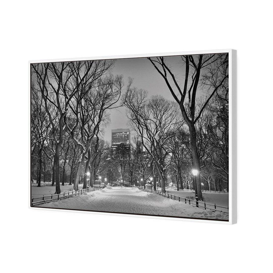 Winter in Central Park B&W Canvas Art Winter In Central Park B&W Canvas Art -WALL ART DESGIN SALE 3168BR H Winter in Central Park B W 3D THUMB FF WHT 79233320 4d09 4f4c 900c 758311db3c58