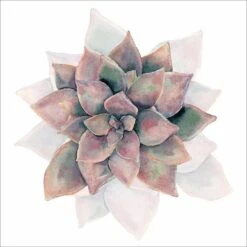 Succulent Rosette Canvas Art