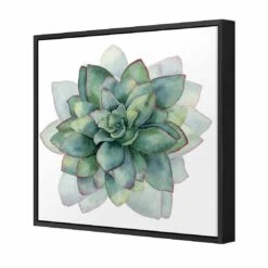 Succulent Spiral Canvas Art -WALL ART DESGIN SALE 3199AS Succulent Spiral 3D THUMB FF BLK 9888b7a1 00ea 4ab9 884e 38e108e668c5