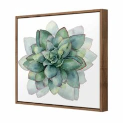 Succulent Spiral Canvas Art -WALL ART DESGIN SALE 3199AS Succulent Spiral 3D THUMB FF NAT 38fe2314 cd29 4142 9cd9 3991d04b2996
