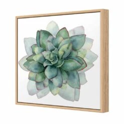 Succulent Spiral Canvas Art -WALL ART DESGIN SALE 3199AS Succulent Spiral 3D THUMB FF OAK 9f06811f 4323 49ad 9854 b4547660f573