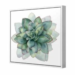 Succulent Spiral Canvas Art -WALL ART DESGIN SALE 3199AS Succulent Spiral 3D THUMB FF WHT 88431402 edc4 40b4 a071 632f7bce3717