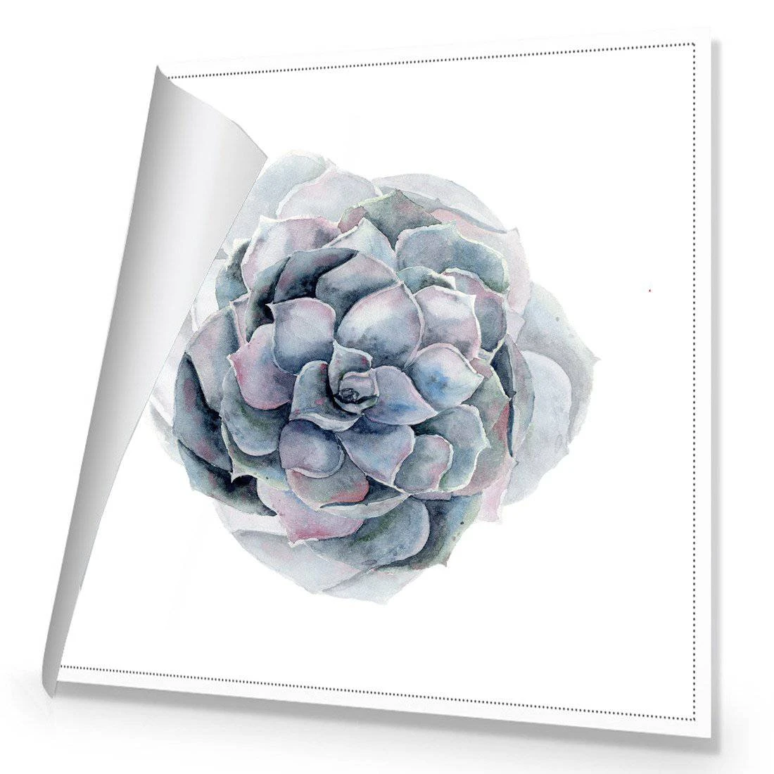 Succulent Sphere Canvas Art Succulent Sphere Canvas Art -WALL ART DESGIN SALE 3200AS Succulent Sphere ROLLED Thumb b87d9411 4e0d 4d72 b9c5 c8bf6a74c012