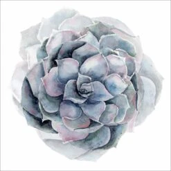 Succulent Sphere Canvas Art