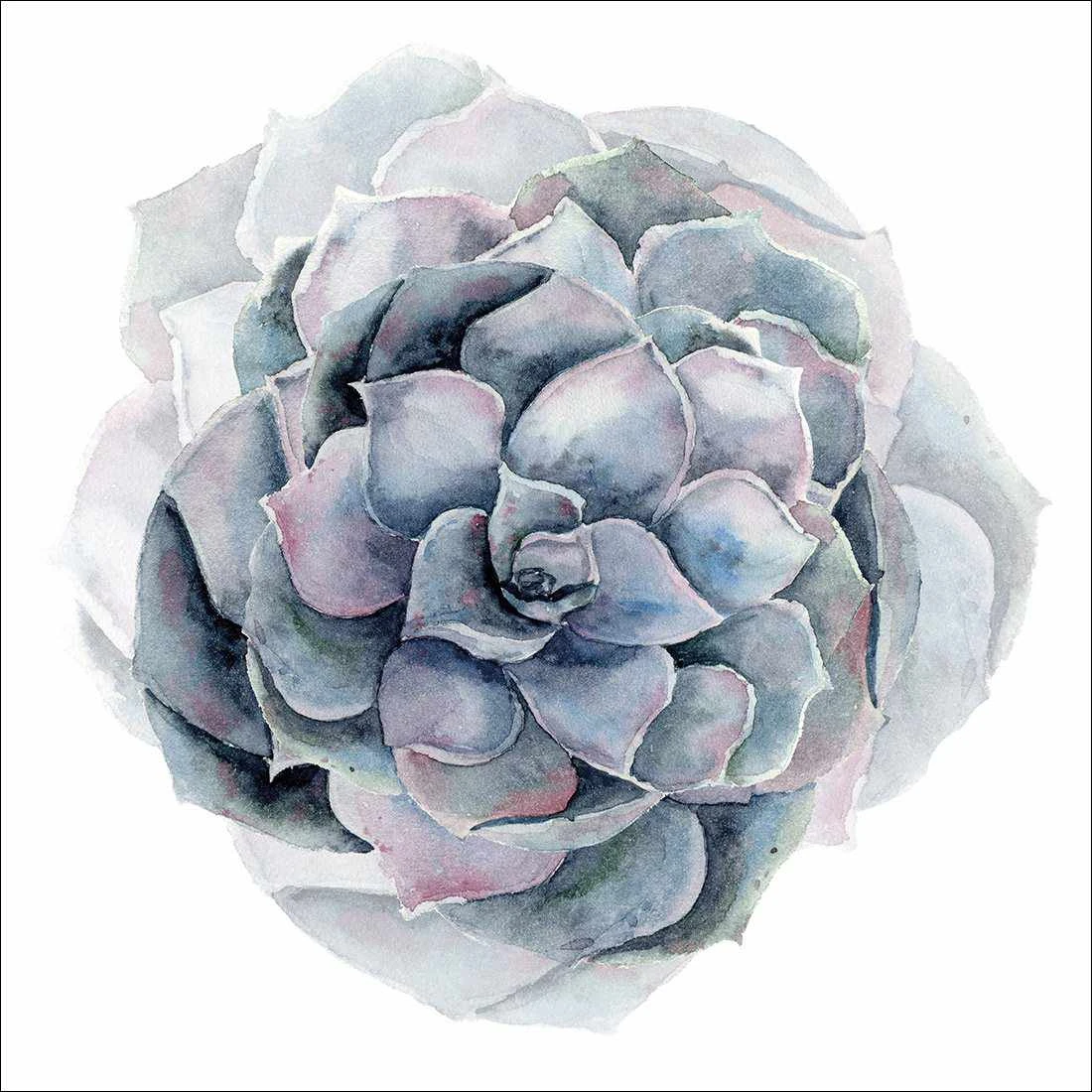 Succulent Sphere Canvas Art Succulent Sphere Canvas Art -WALL ART DESGIN SALE 3200AS Succulent Sphere Thumb 7f50bb48 fb58 41da a206 1eec6067af78