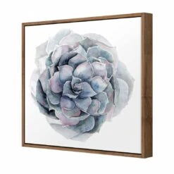 Succulent Sphere Canvas Art -WALL ART DESGIN SALE 3200AS Succulent Sphere 3D THUMB FF NAT b58b1331 7395 4e04 a4d2 4b4775e9eab9