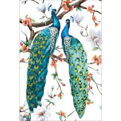 Peacock Magic Acrylic Print Art