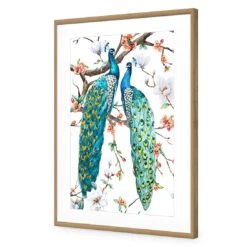 Peacock Magic Acrylic Print Art -WALL ART DESGIN SALE 3225AR V Peacock Magic ACR MAT THUMB FF OAK