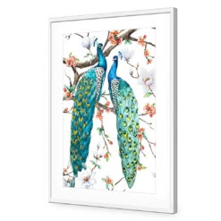 Peacock Magic Acrylic Print Art -WALL ART DESGIN SALE 3225AR V Peacock Magic ACR MAT THUMB FF WHT