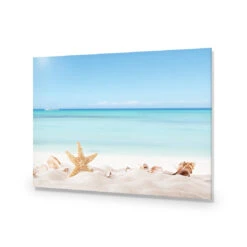 Starfish And Friends Acrylic Print Art -WALL ART DESGIN SALE 3350AR H Starfish and Friends Max Size 200x135 ACR EDG THUMB d2bad497 9350 4922 9d16 eb3a3e506ffb