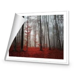 Scarlet Forest Canvas Art -WALL ART DESGIN SALE 3356AR H Scarlet Forest ROLLED Thumb 1fd9bce8 bbf2 4f8e 891b 9d4613c82403