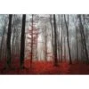 Scarlet Forest Canvas Art -WALL ART DESGIN SALE 3356AR H Scarlet Forest Thumb bdb80e19 2f57 4f4b ab8a 2bbb83a16094