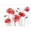 Poppsicals Canvas Art -WALL ART DESGIN SALE 3360AR H Poppsicals Thumb 1656b7a8 3ed0 48c7 b8bc 4e2f0dc2b981