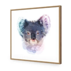 Watercolour Koala, Square Acrylic Print Art -WALL ART DESGIN SALE 3518AS Watercolour Koala MAX SIZE 135x135 ACR EDG THUMB FF OAK