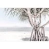 Pandanus At The Beach -WALL ART DESGIN SALE 3961AR H Pandanus at the Beach THUMB
