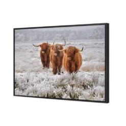 Trio Of Highlanders -WALL ART DESGIN SALE 4087AR H Trio of Highlanders 3D CANVAS THUMB FF BLK