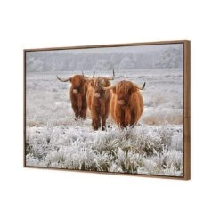 Trio Of Highlanders -WALL ART DESGIN SALE 4087AR H Trio of Highlanders 3D CANVAS THUMB FF NAT