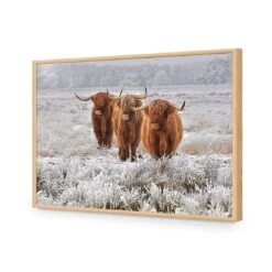 Trio Of Highlanders -WALL ART DESGIN SALE 4087AR H Trio of Highlanders ACR EDG THUMB FF OAK