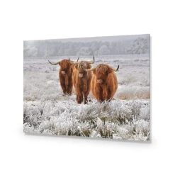 Trio Of Highlanders -WALL ART DESGIN SALE 4087AR H Trio of Highlanders ACR EDG THUMB afd7b5cc b768 4c97 8afc 936b73e3148a