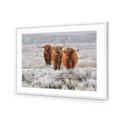 Trio Of Highlanders -WALL ART DESGIN SALE 4087AR H Trio of Highlanders ACR MAT THUMB FF WHT