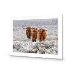 Trio Of Highlanders -WALL ART DESGIN SALE 4087AR H Trio of Highlanders ACR MAT THUMB fee49d42 a3d7 4655 82f7 29d211dd2867