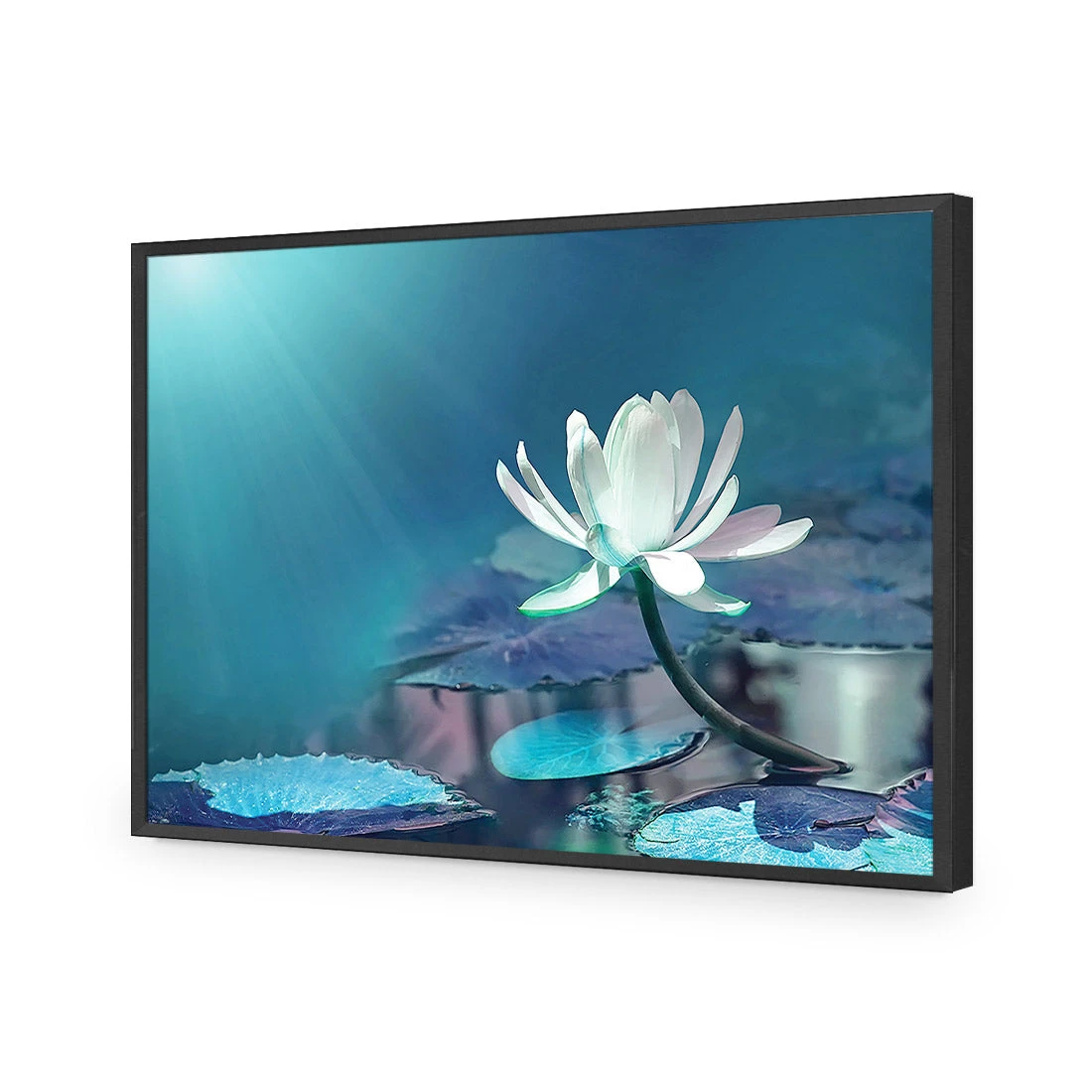 Water Lily, Blue Acrylic Print Art Water Lily, Blue Acrylic Print Art -WALL ART DESGIN SALE 606BR H Water Lily Blue Max Size