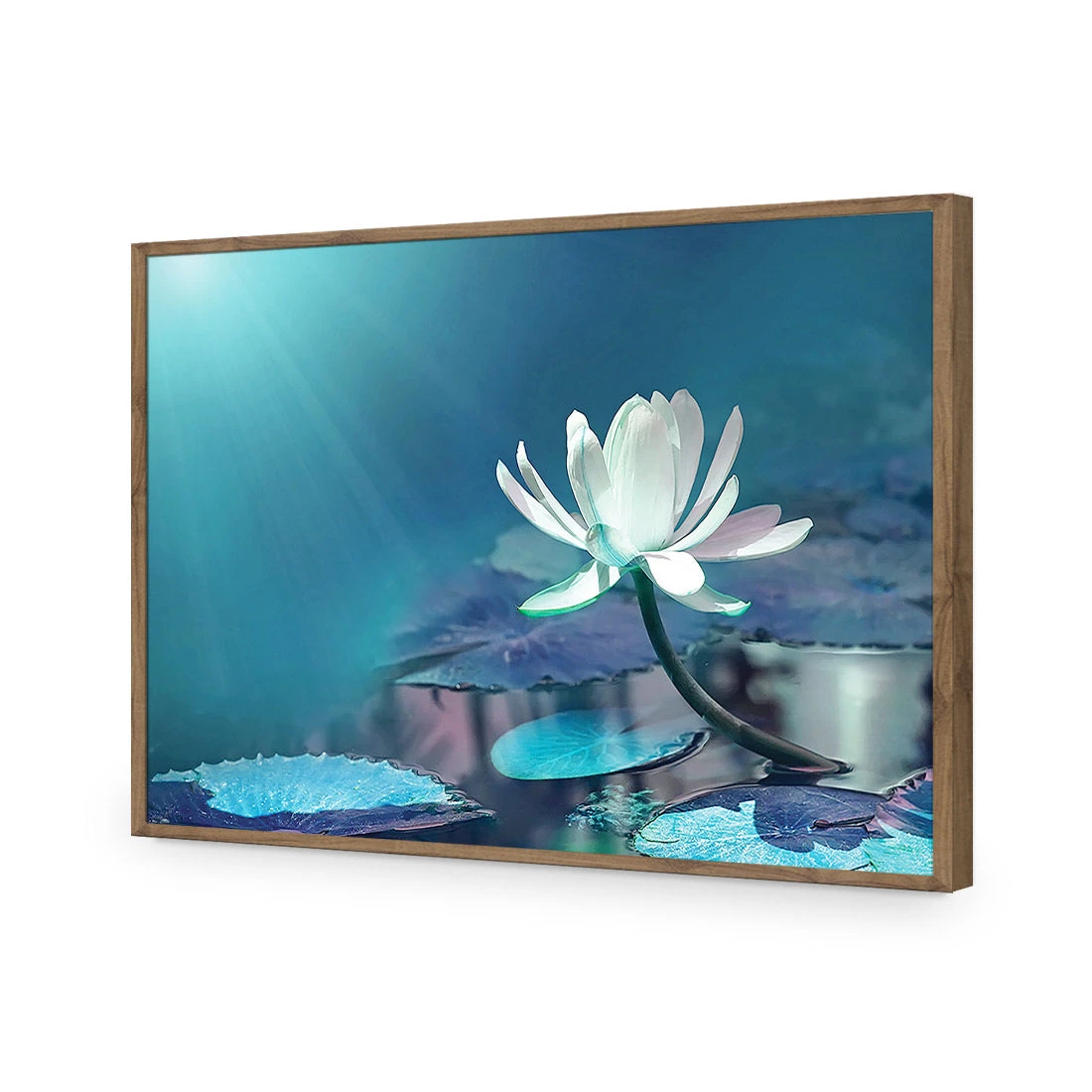 Water Lily, Blue Acrylic Print Art Water Lily, Blue Acrylic Print Art -WALL ART DESGIN SALE 606BR H Water Lily Blue Max Size