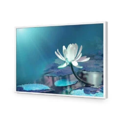 Water Lily, Blue Acrylic Print Art -WALL ART DESGIN SALE 606BR H Water Lily Blue Max Size 135x90 ACR EDG THUMB FF WHT