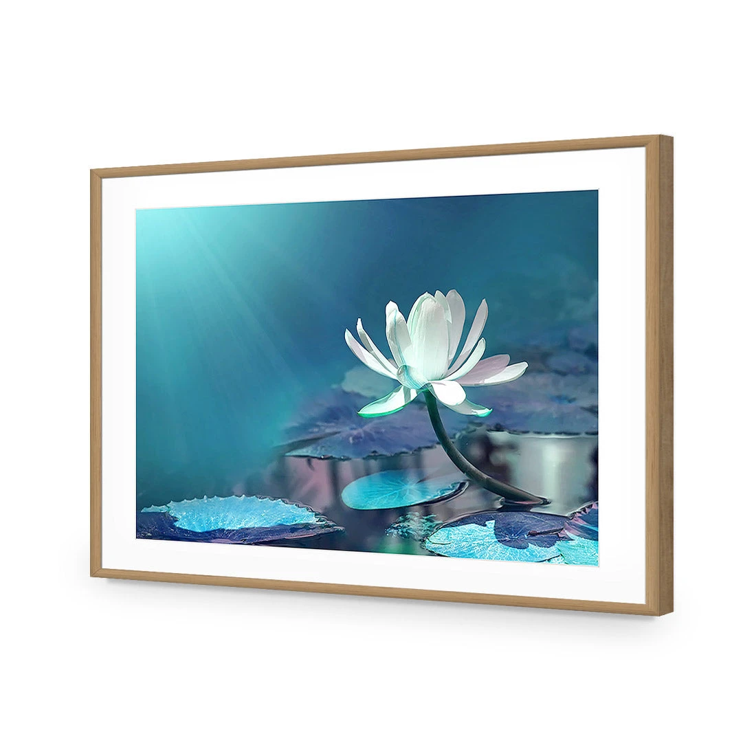 Water Lily, Blue Acrylic Print Art Water Lily, Blue Acrylic Print Art -WALL ART DESGIN SALE 606BR H Water Lily Blue Max Size
