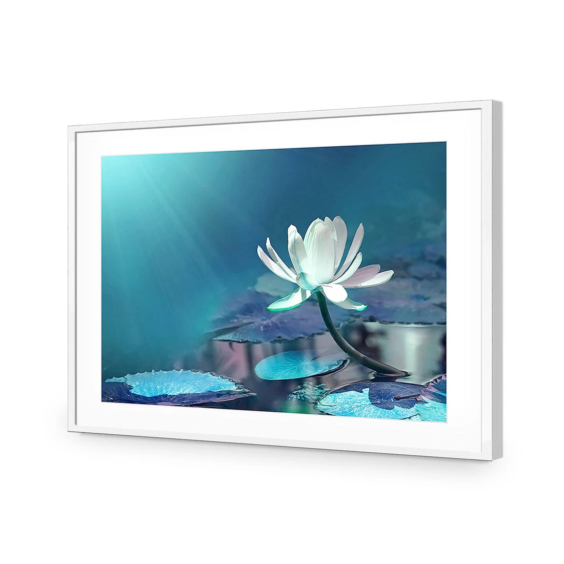Water Lily, Blue Acrylic Print Art Water Lily, Blue Acrylic Print Art -WALL ART DESGIN SALE 606BR H Water Lily Blue Max Size