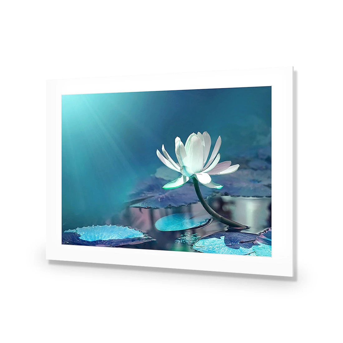 Water Lily, Blue Acrylic Print Art Water Lily, Blue Acrylic Print Art -WALL ART DESGIN SALE 606BR H Water Lily Blue Max Size 135x90 ACR MAT THUMB f60518ad d615 4bdb a5ea 2da3a75b4134