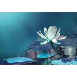 Water Lily, Blue Canvas Art