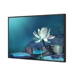 Water Lily, Blue Canvas Art -WALL ART DESGIN SALE 606BR H Water Lily Blue Thumb 3D THUMB FF BLK 3c01fd29 d8e5 4111 bc82 d09db80d75b5