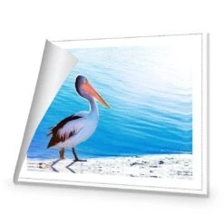 Pelican Canvas Art -WALL ART DESGIN SALE 624AR H Pelican ROLLED Thumb df76328e ddda 4bbc 83e1 c777fca42294