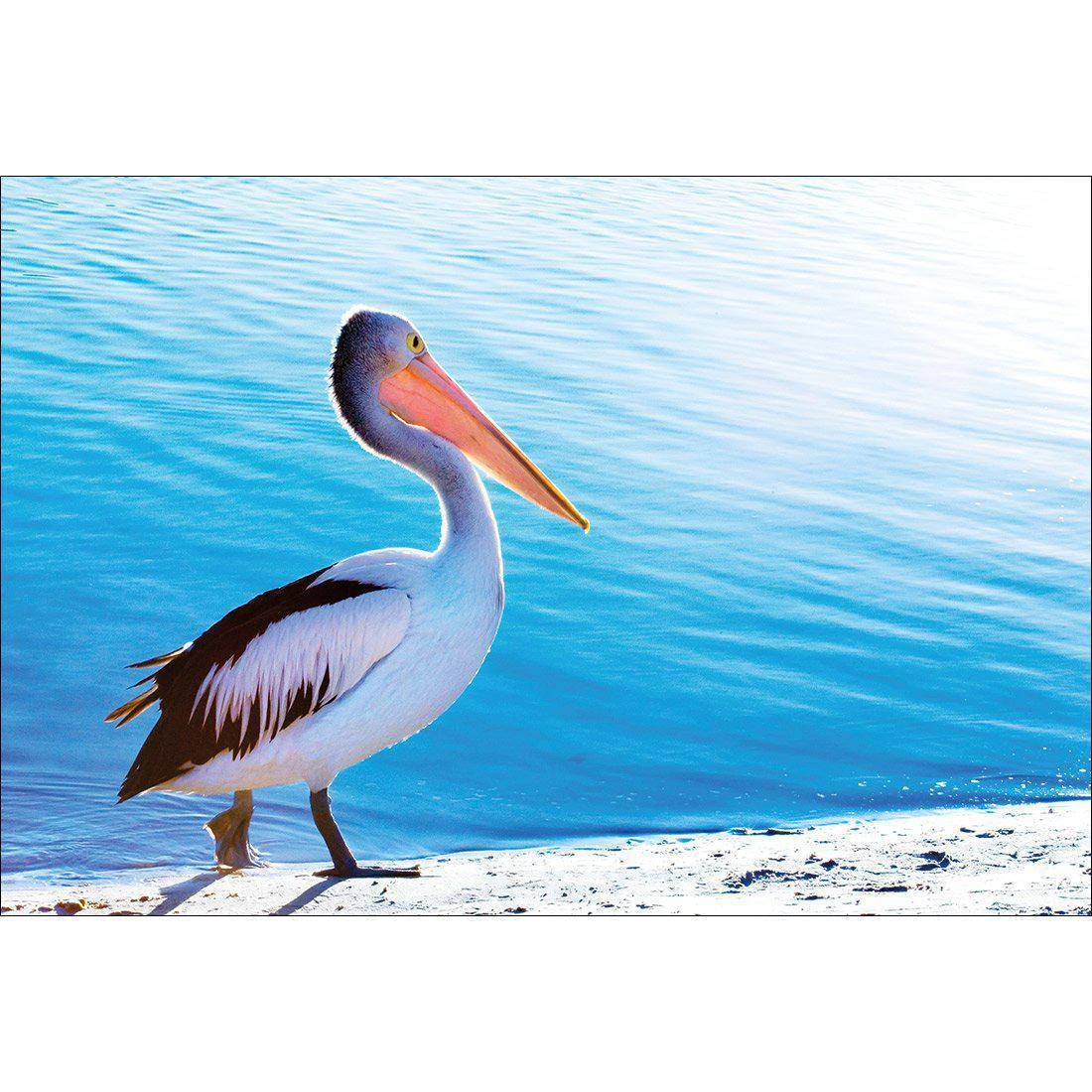 Pelican Canvas Art Pelican Canvas Art -WALL ART DESGIN SALE 624AR H Pelican Thumb Max Size 118x80 149d38be 88f7 429d b738 e5dd307eb40f