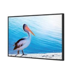 Pelican Canvas Art -WALL ART DESGIN SALE 624AR H Pelican 3D THUMB FF BLK c378cc5f 2e6a 454d afa6 5559539b8685