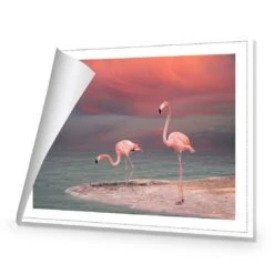 Pink Flamingos Canvas Art -WALL ART DESGIN SALE 672AR H Pink Flamingos ROLLED Thumb 0ab4f910 a343 426d 9720 ae21f0db47a0