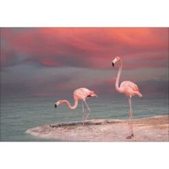 Pink Flamingos Canvas Art