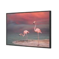 Pink Flamingos Canvas Art -WALL ART DESGIN SALE 672AR H Pink Flamingos 3D THUMB FF BLK ff723f96 05b9 448b 8483 557b88c9cf62