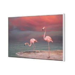 Pink Flamingos Canvas Art -WALL ART DESGIN SALE 672AR H Pink Flamingos 3D THUMB FF WHT 8d6ebf07 50a4 4189 b9b9 3fddf30628a2