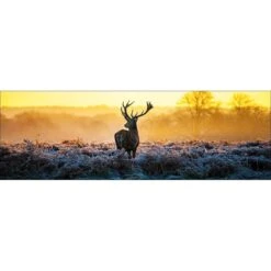 Red Deer At Dawn Canvas Art